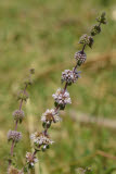 Select an image to enlarge