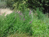 Select an image to enlarge