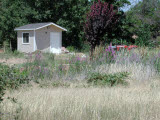 Select an image to enlarge
