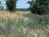 Select an image to enlarge