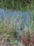 Select an image to enlarge