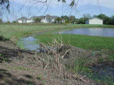 Select an image to enlarge
