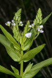 Select an image to enlarge
