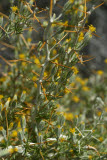 Select an image to enlarge