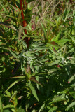 Select an image to enlarge
