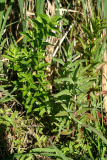 Select an image to enlarge