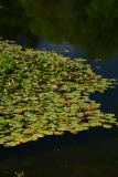 Select an image to enlarge