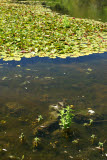 Select an image to enlarge