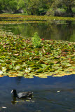 Select an image to enlarge