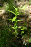 Select an image to enlarge