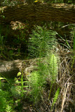 Select an image to enlarge