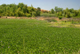 Select an image to enlarge