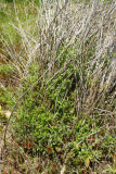 Select an image to enlarge