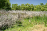 Select an image to enlarge