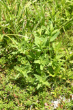 Select an image to enlarge