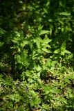 Select an image to enlarge
