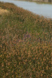 Select an image to enlarge
