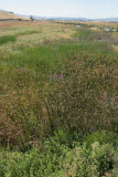 Select an image to enlarge