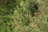 Select an image to enlarge