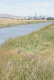 Select an image to enlarge