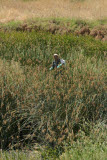Select an image to enlarge