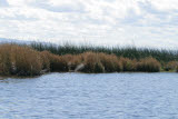 Select an image to enlarge