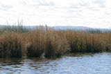 Select an image to enlarge
