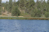 Select an image to enlarge