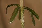 Select an image to enlarge