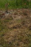 Select an image to enlarge