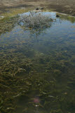 Select an image to enlarge