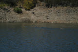 Select an image to enlarge