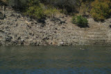 Select an image to enlarge