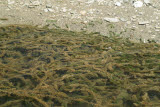 Select an image to enlarge