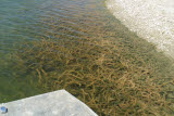 Select an image to enlarge