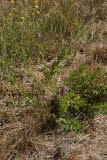 Select an image to enlarge