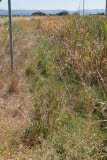 Select an image to enlarge