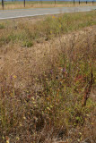 Select an image to enlarge