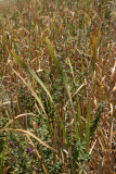 Select an image to enlarge