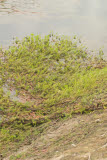 Select an image to enlarge
