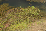 Select an image to enlarge
