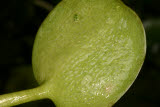 Select an image to enlarge