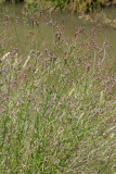 Select an image to enlarge