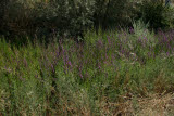 Select an image to enlarge