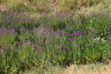 Select an image to enlarge