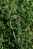 Select an image to enlarge