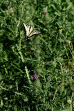 Select an image to enlarge