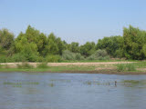 Select an image to enlarge