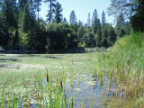 Select an image to enlarge