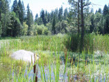Select an image to enlarge